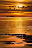 Lake Freighter At Sunset_23339